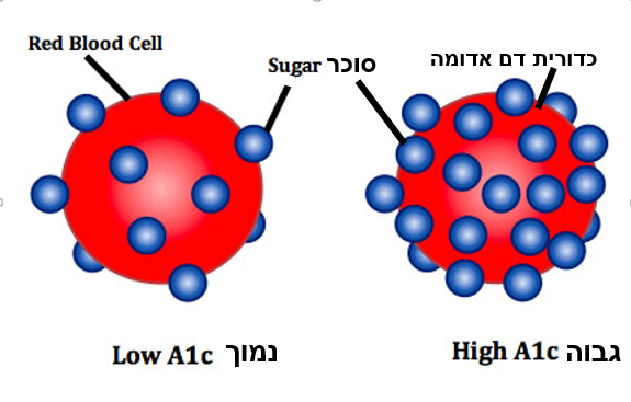 A1C_Low_High